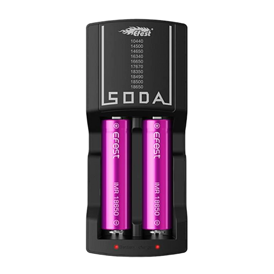 Efest Dual Battery Charger